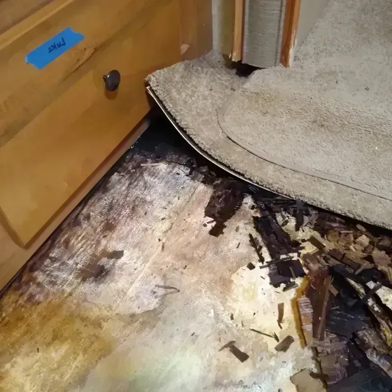 Wood Floor Water Damage in Riviera Beach, FL